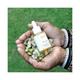 Ras Luxury Skincare Moringa Pure Plant Oil 35ml - Essential Oils