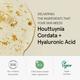 One Thing Houttuynia Cordata Serum 30 ml - Face Serum