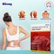 LIDO PLAST 700mg Patch 1's - Anaesthesia - Local-Ana