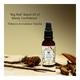 Seer Secrets Big Red Beard Oil of Manly Confidence - Tobacco & Gudalur Vanilla 30 ml - Beard Oil