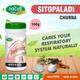 Swadeshi Sitopaladi Churna 100 gm - Speciality Medicines