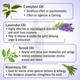 Keya Seth Aromatherapy Graine Out- Headache Reliever 10 ml - Essential Oils
