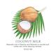 Kora Organics Noni Glow Sleeping Mask 100 ml - Masks & Peels