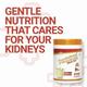 PentaSure DLS Dialysis Care Powder - Vanilla Flavour 400 g - Vital Health