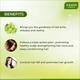 Vaadi Herbals Cool Oil with Triphla & Almond 100 ml - Hair Oils