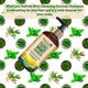 WishCare Tea Tree Mint Shampoo - Anti Dandruff Shampoo - Cleansing Formula 300 ml - Shampoos