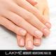 Lakme Unreal Gel Stylist Nail Care Oil, 12 ml - Nail Polish
