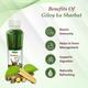 Swadeshi Giloy Ka Sharbat 700 ml - Ayurvedic Juices