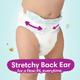 Pampers Active Baby Premium Taped Diaper Pants (XL) 38's - Sanitary Napkins