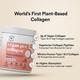 Wellbeing Nutrition Vegan Pro Collagen, Clinically Proven Plant Based Peptides, Hyaluronic Acid, Astaxanthin, Resveratrol 1 gm - Multi-Vitamins