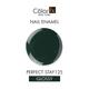 Color Fx PERFECT STAY 125 9 ml - Nail Polish