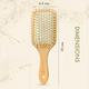 Allure Personalised Paddle Hair Brush Letter L 1's - Hair Brushes