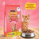 Nestle Purina Friskies Kitten Discoveries Cat Food 1 kg - Petfood