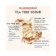 Essentia ExtractsTea Tree Face & Body Exfoliating Scrub 15 gm - Scrubs & Exfoliants