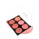 Miss Rose 6 Color Blusher Glow Palette 7004 - 015N 01 20 gm - Blushes