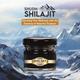 Swadeshi Shudh Shilajit Premium Resin 20 g - Speciality Medicines