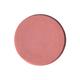 asa Dreamy Rose 09 Refill 4.5 gm - Foundation