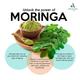 Aaranyaa Hand & Body Lotion Moringa Oil 140 ml - Lotions & Creams