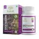 Kairali Shatavari Capsules Herbal Health Supplement 60's - Women Health