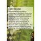 Organic Harvest Essential Oil - Neroli 10 ml - Essential Oils