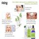 Rey Naturals Tea Tree and Lavender Essential Oil 15ml each 2's - Essential Oils