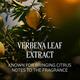 L'Occitane Citrus Verbena Fresh Milk 250 ml - Lotions & Creams