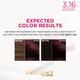 L'Oreal Paris Excellence Creme 316 Burgundy (72 ml + 100 gm) - Crème