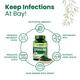 Himalayan Organics Spirulina Vegetarian capsule 120's - Herbal Dietary Supplement