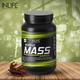 INLIFE Muscle Mass Gainer with Whey Protein Powder Chocolate Flavor 1 kg - Whey Proteins