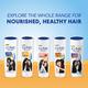 CLINIC PLUS Strength & Shine, with Egg Protein, Shampoo, for Smooth & Healthy Hair 650 ml - Shampoos