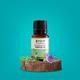 Pilgrim Spanish Rosemary Essential Oil for Hair Growth, Hair Fall Control & Hair Strengthening 10 ml - Hair Oils