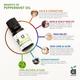 Anveya Peppermint Essential Oil 15 ml - Carrier Oils