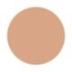 PAC Take Cover Concealer 09 Classic Beige 6.8 gm - Concealer