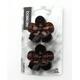 Basicare Claw Clip (Pack Of 2) 1's - Hair Clips/Bands