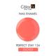 Color Fx PERFECT STAY 124 9 ml - Nail Polish