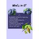 MyGlamm Super Foods Blueberry & Kakadu Plum Sleeping Mask 50 gm - Masks & Peels