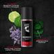 Beardo Maverick Perfume Deo Spray for Men, Strong and Long Lasting 150 ml - Men Deodorants/Roll-Ons