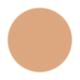 PAC Take Cover Concealer 08 Stark Nude 6.8 gm - Concealer