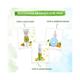 Mamaearth Roots of Radiance Essence Serum For Brighting Skin with Ashwagandha & Turmeric for Radiant Skin 30 ml - Face Serum