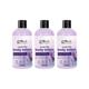 Globus Naturals Lavender Bliss Body Lotion, 200ml each 3's - Creams, Lotions & Oils