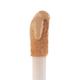 Pac Spotlight Liquid Concealer 10 Mocha 15gm - Concealer