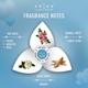 Arias by Lara Dutta Eau De Parfum - Beloved 50 ml - Women Perfumes (Edt/Edp)