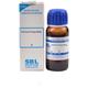 SBL Echinacea Angustifolia Q Liquid 30 ml - Mother Tincture