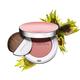 Clarins Joli Blush 03 5 gm - Blushes