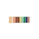 Wet N Wild Color Icon 10 Pan Palette Stop Playing Safe 10 gm - Face Palettes