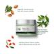 The Beauty Sailor Green Tea Night Gel & Night Cream 50 gm - Night Cream