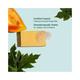 Juicy Chemistry Papaya, Apricot & Mandarin- Organic Soap For Dull & Tanned Skin 100.0 gm - Soaps
