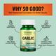 Morpheme Remedies Garlic 500mg Extract 60's - Digestive Health