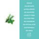 Petal Fresh Volumizing Rosemary and Mint Conditioner 355 ml - Conditioners