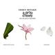 Issey Miyake A Drop D'Issey Edp Essentielle 90 ml - Women Perfumes (Edt/Edp)